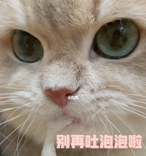 为什么我的宠物猫会频繁呕吐（了解常见的猫咳与呕吐原因）