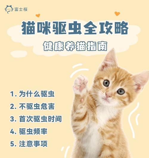 猫咪驱虫，宠物健康的必备措施（以猫驱虫的好处及注意事项）