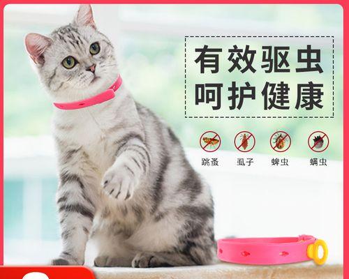 探究猫虱的外貌和习性（从宠物猫的角度分析猫虱的形态和行为）