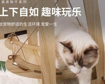 猫死了怎么办（以猫崽为例）