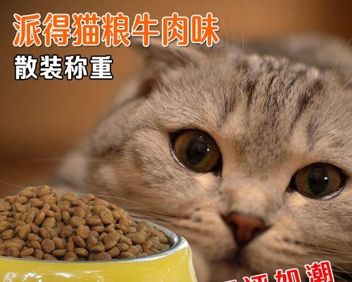 猫吐完后不吃东西怎么办（推荐这些药品帮助猫咪恢复健康）