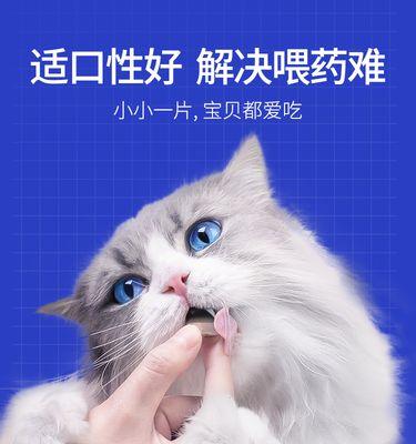 猫为何易得尿道结石（探究猫咪尿道结石的成因与预防）