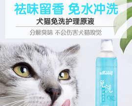 猫洗澡用什么沐浴露（宠物护理需知——猫洗澡的正确方法和注意事项）