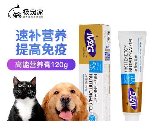 探秘猫营养膏（宠物猫的健康必备品）