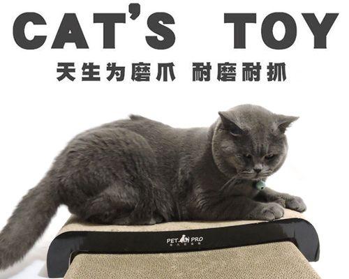 猫咪爪子打东西，你知道吗（探秘猫咪用爪子打东西的原因和方法）