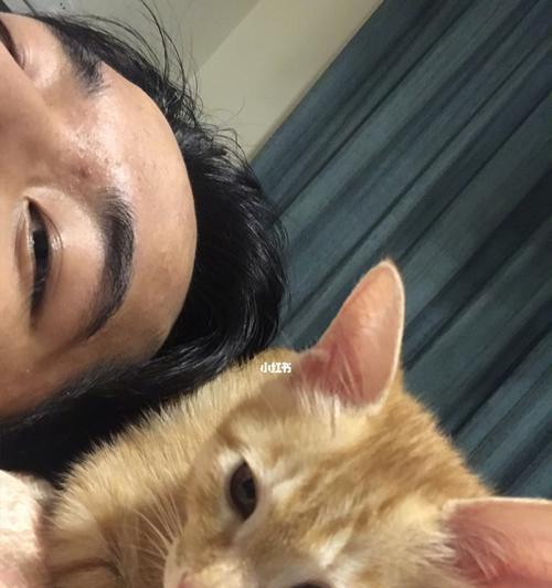 如何让宠物猫不抓人咬人（从以下15个方面入手）