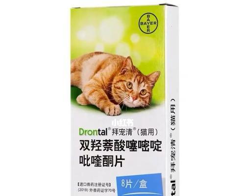 拜耳给猫咪吃需要禁食吗（了解拜耳的安全食用方法）