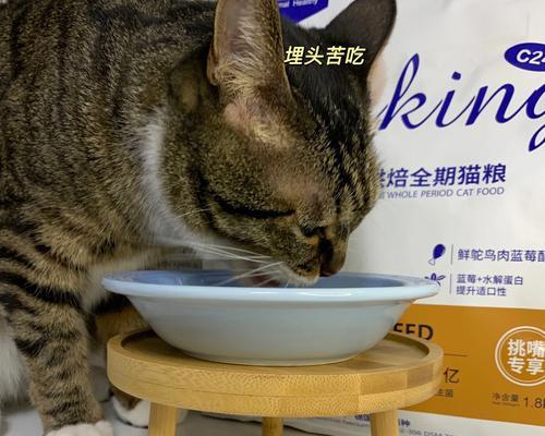 猫咪吃撑了，你需要知道的15个表现（宠物猫吃太多有哪些不良反应）