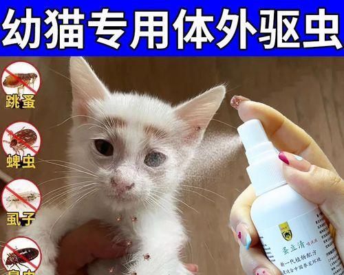 猫咪打虫药注意事项（宠物健康）