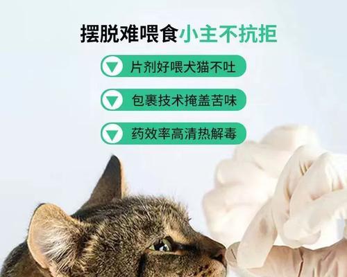 猫咪感冒打针注意事项（掌握正确的打针方法和预防措施）