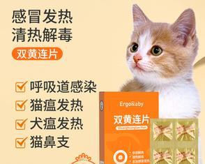 猫咪打了消炎药不能吃什么（宠物健康需知）