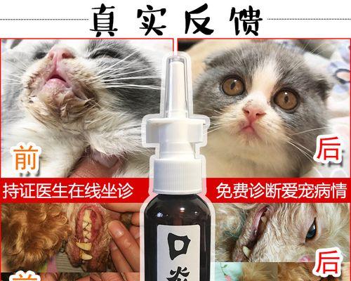 猫咪牙龈炎的治疗方法（宠物的口腔健康）