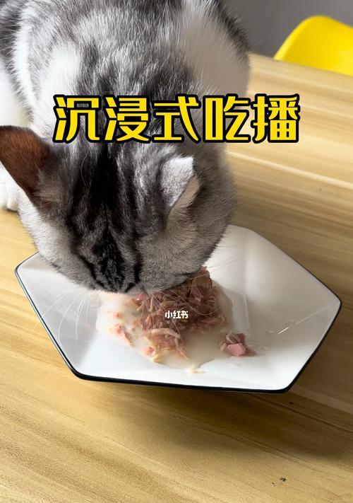 猫罐头人能吃吗（宠物饲料与人类饮食的异同）