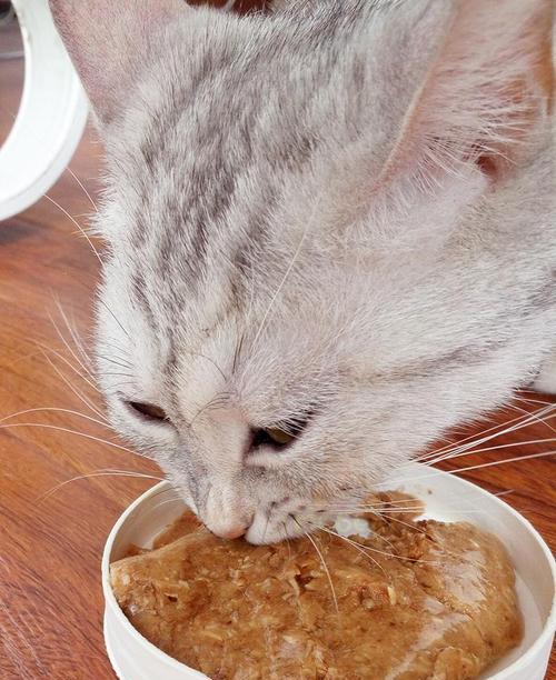 猫罐头人能吃吗（宠物饲料与人类饮食的异同）