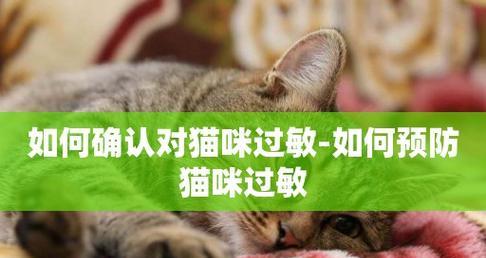 解决宠物过敏难题！——猫咪过敏怎么办（药物治疗是最佳选择）