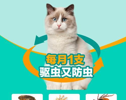 猫咪的跳蚤问题（了解猫咪跳蚤的原因和解决方法）