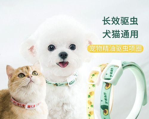 猫咪几个月体外除虫，养护宠物的必要之举（养猫族必看）