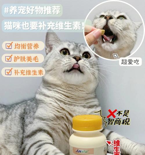 猫咪的营养需求与维生素补充（宠物猫咪是否需要维生素补充以及如何科学合理地为猫咪补充维生素）