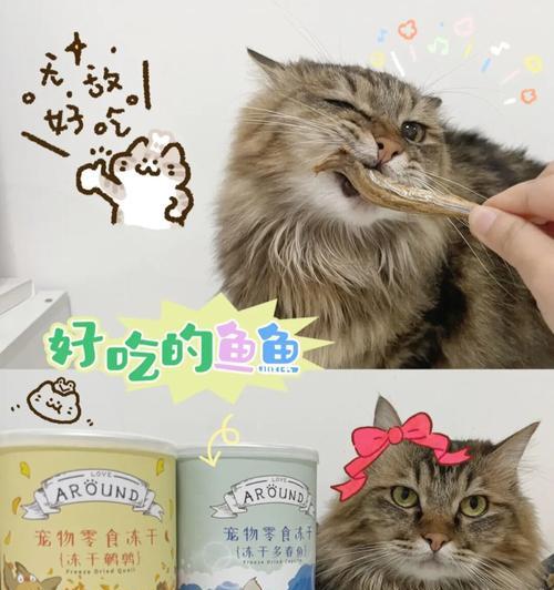 猫咪可以吃鱼吗（科学告诉你猫咪饮食的正确姿势）