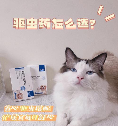 如何驱虫治疗猫咪拉肚子（详解猫咪拉肚子的原因）