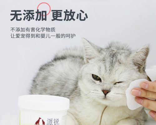 如何去除宠物猫咪的泪痕（宠物爱好者必读）