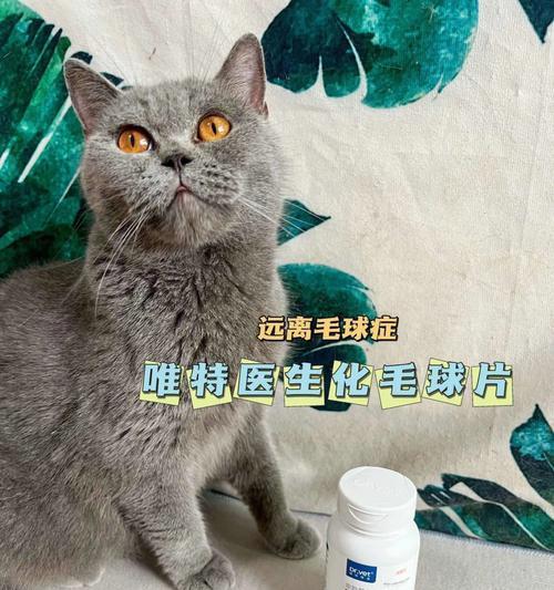 如何治疗严重的猫咪毛球症（教你正确地处理宠物毛球问题）