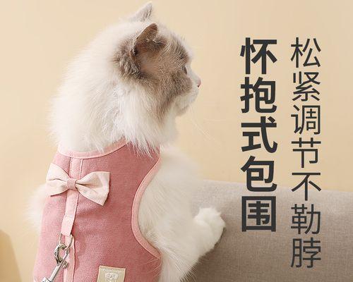 猫咪产后护理指南（为你的母猫和幼崽提供全面的关爱）