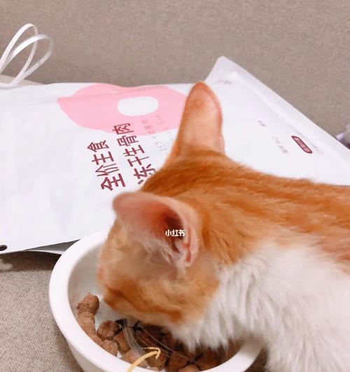 猫咪能否食用猪肉（探究猫咪对猪肉的消化吸收能力及注意事项）