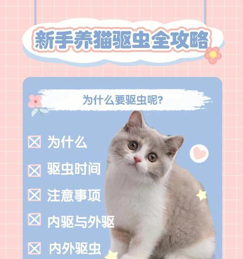 以猫咪体内驱虫会拉虫吗（了解宠物体内驱虫的正确方法）