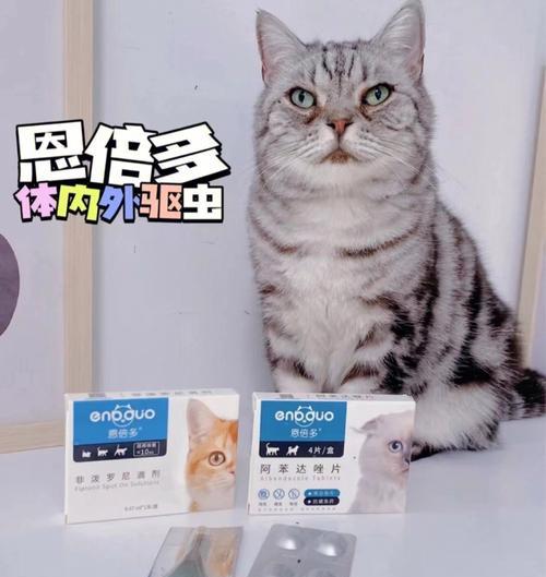 以猫咪外驱虫，这个品牌最好（为什么这个品牌是最好的）