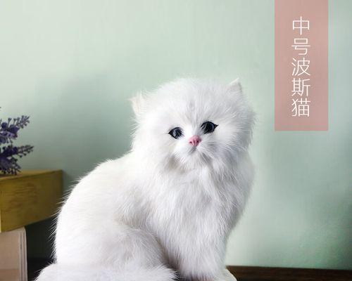 猫咪玩具的作用与好处（为宠物带来乐趣与健康）