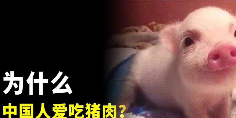 为什么猫咪不爱吃猪肉（探寻猫咪的食性习惯与进化历程）