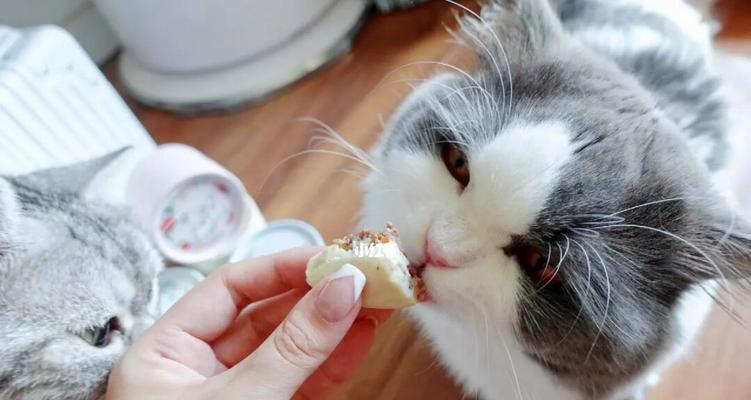 为什么猫咪会吃小猫（探究猫咪食性中的本能和行为习惯）