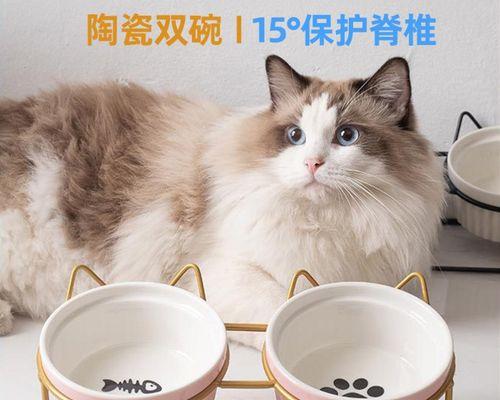 为什么猫咪会吃小猫（探究猫咪食性中的本能和行为习惯）