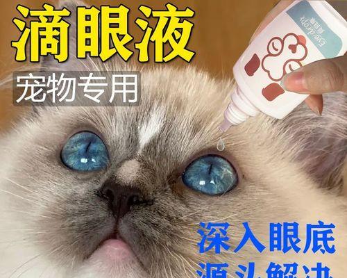 猫咪小便困难怎么办（掌握治疗猫咪小便困难的常见药物和正确用药方法）