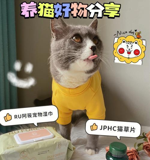 猫咪小便困难怎么办（掌握治疗猫咪小便困难的常见药物和正确用药方法）