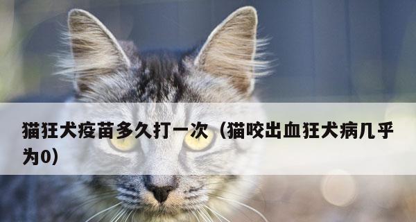 猫咪咬了有狂犬病吗（探究宠物猫咪的狂犬病传播与防治）