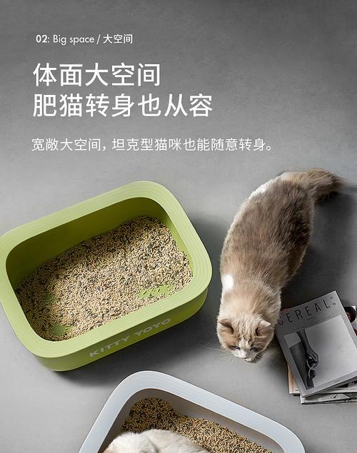 如何让猫咪正确使用猫砂（宠物养护技巧）