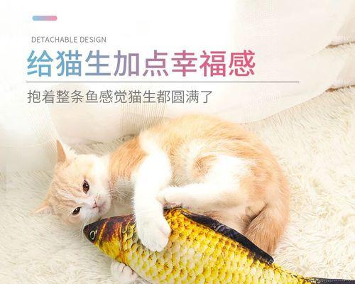 猫咪小便不规律怎么办（掌握正确的方法）