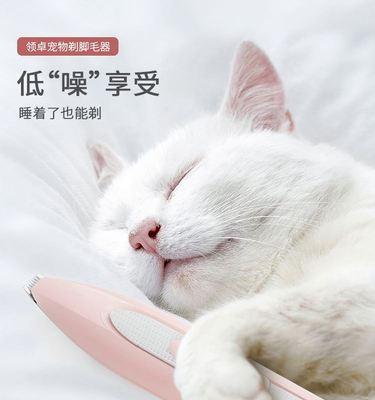 如何给宠物猫咪修剪脚毛（用什么工具）