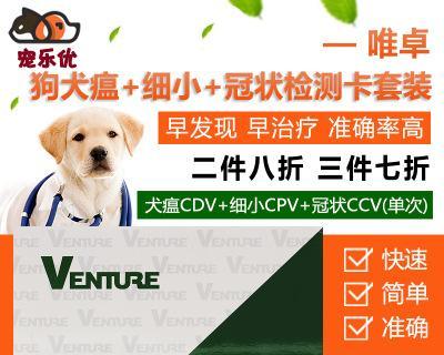 以犬瘟热发烧为主题的宠物用药详解（宠物发烧必看）