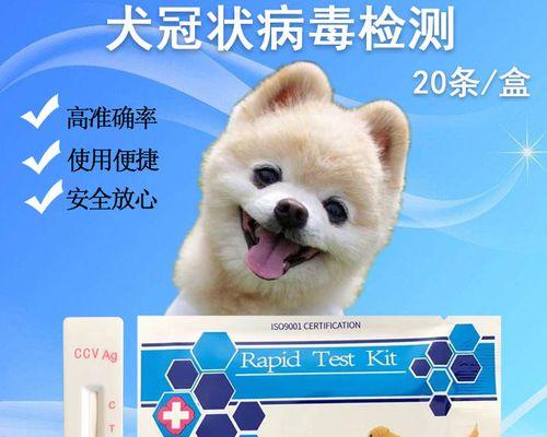 宠物犬瘟细小冠状病的治疗方法（细节决定成功与否）