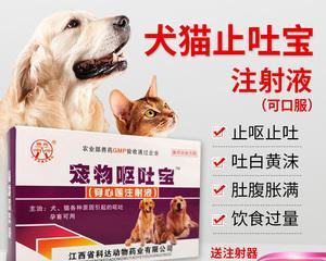 宠物犬瘟细小冠状病的治疗方法（细节决定成功与否）