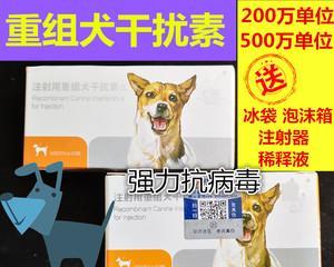 宠物犬瘟如何消毒（了解犬瘟病毒及消毒方法）