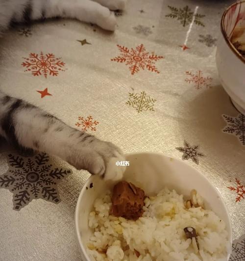 宠物猫的饮食安全（以人的食物为主）