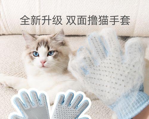 宠物猫按摩指南（学会给你的宠物猫做按摩）