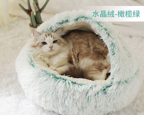 如何让宠物小猫晚上乖乖睡在猫窝（让小猫安心入睡的10个小技巧）