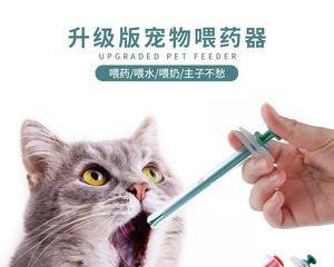 三个月的猫咪如何安全使用驱虫药（宠物养护必备）