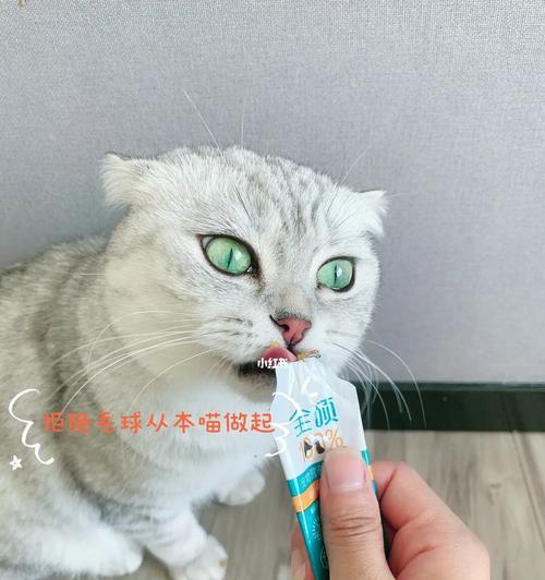 如何选择适合自家宠物的猫咪化毛膏（掌握这些关键点）