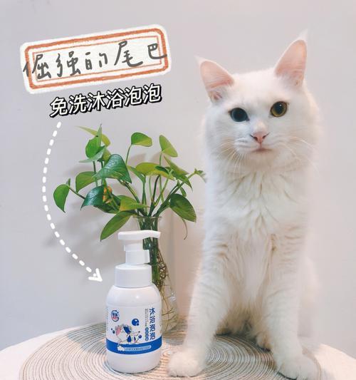 如何选择适合宠物猫咪的洗澡剂（了解猫咪的皮肤特点）